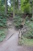PICTURES/Deception Pass Bridge/t_Path2.JPG